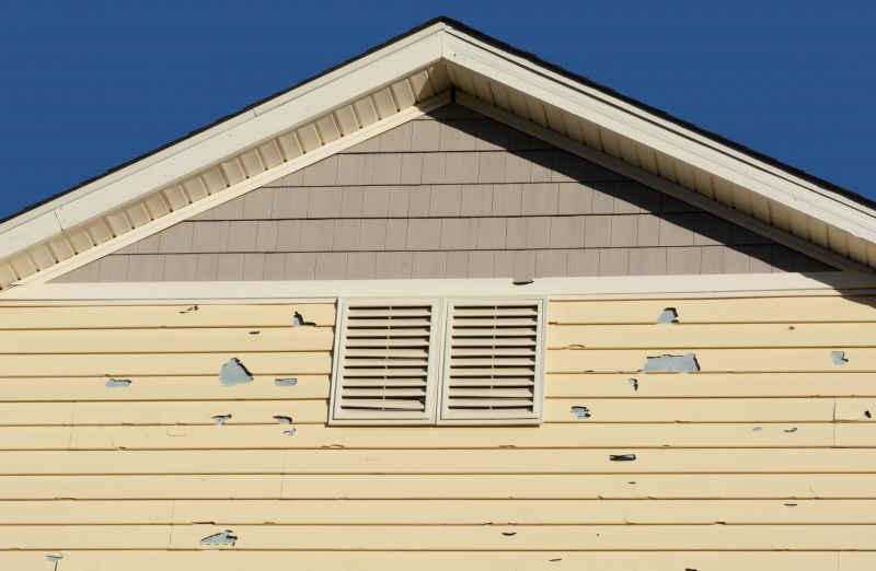 Faded Vinyl Siding Restoration